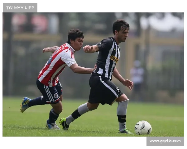 2018南美自由杯赛事,2018南美自由杯赛事视频